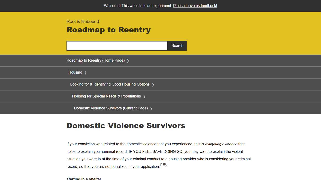 Domestic Violence Survivors - Roadmap to Reentry
